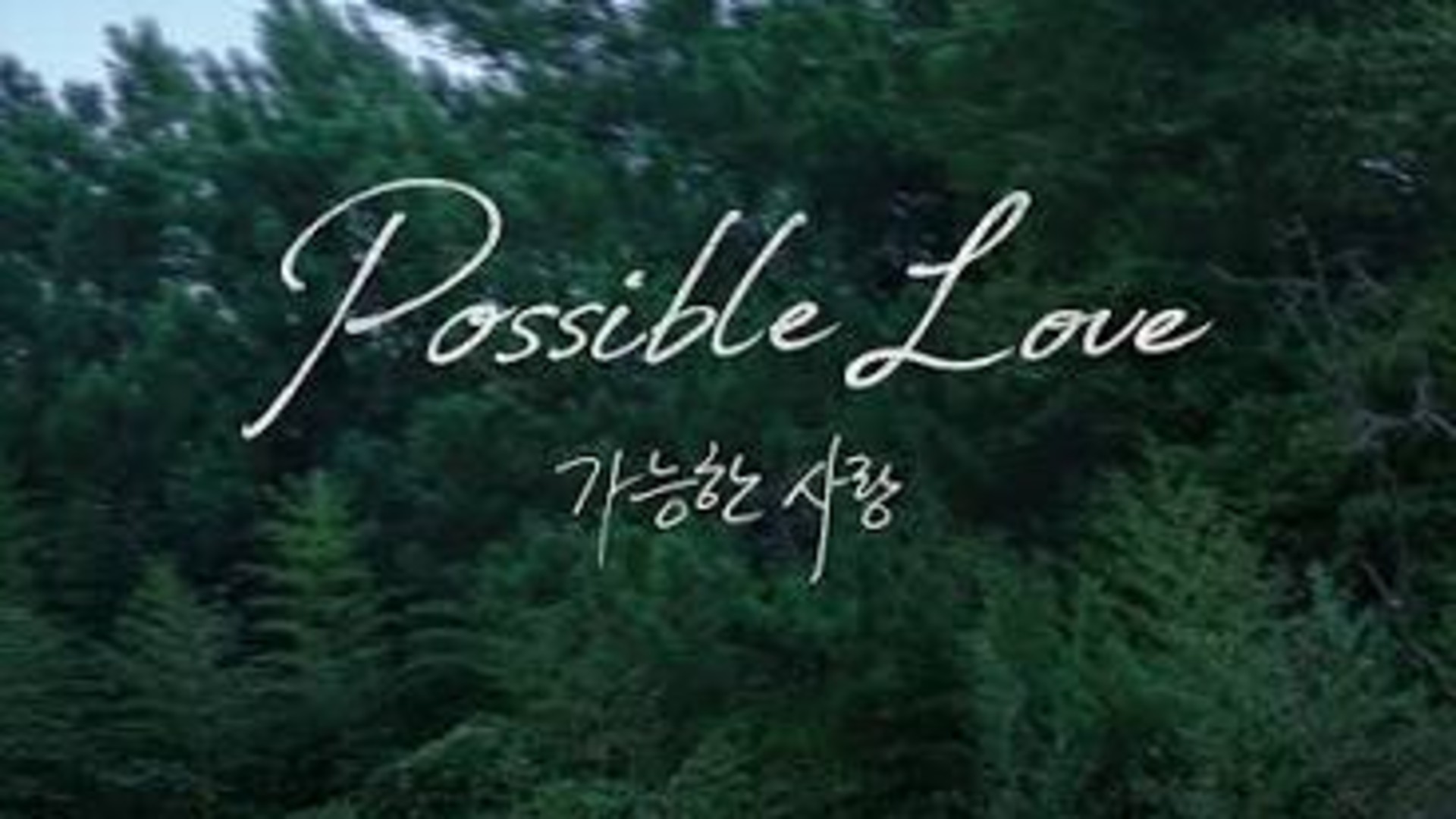 Possible Love