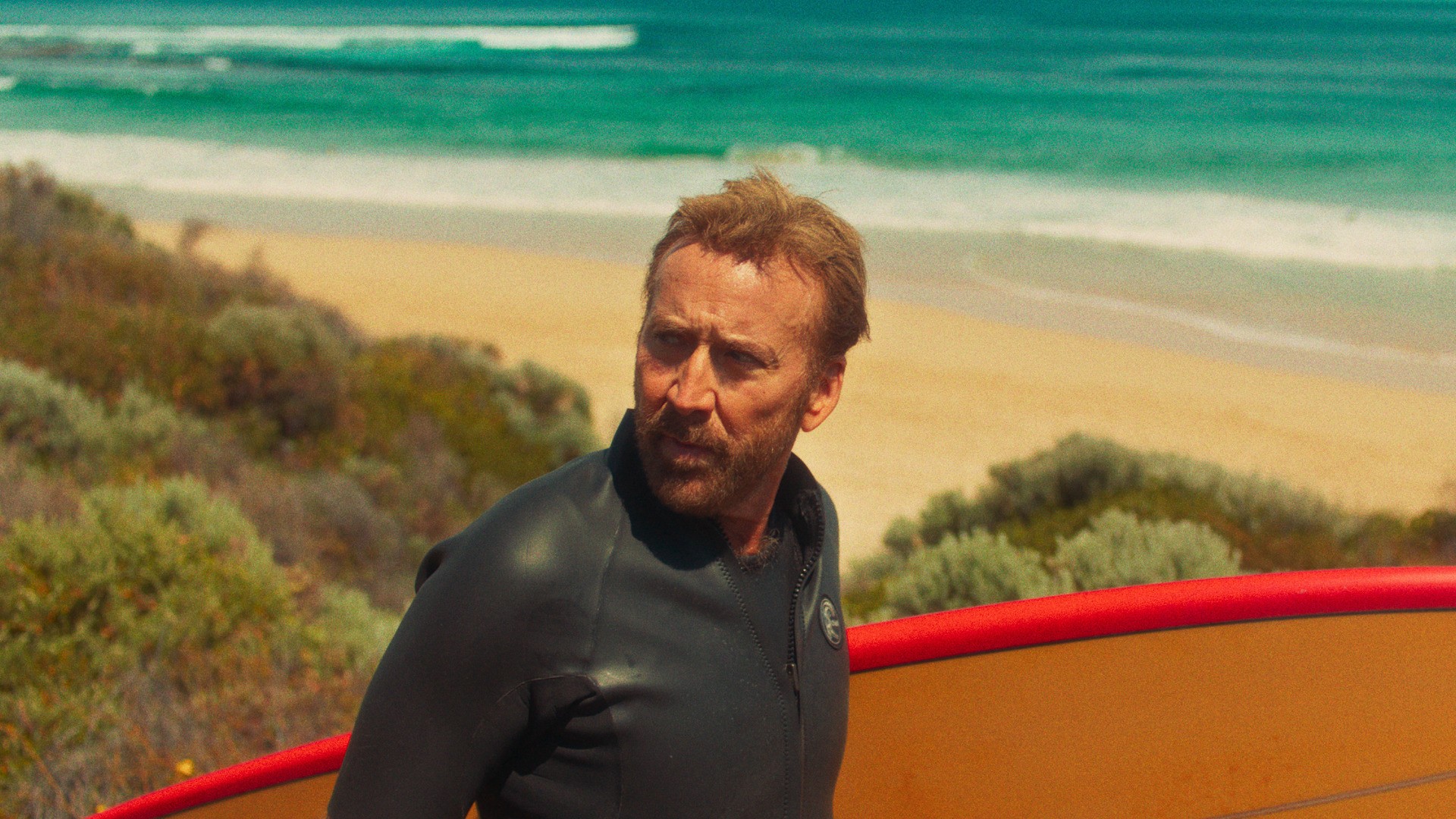The Surfer