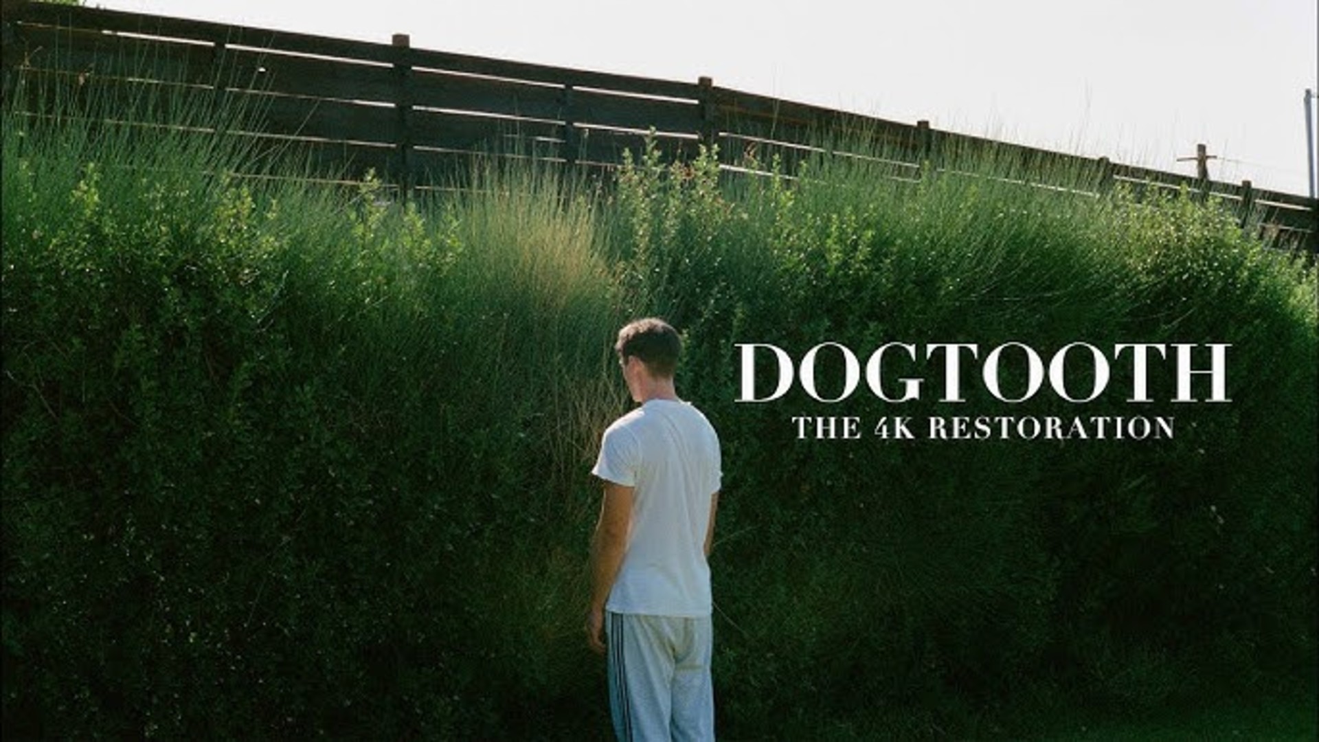 Dogtooth (4K Re-Release)