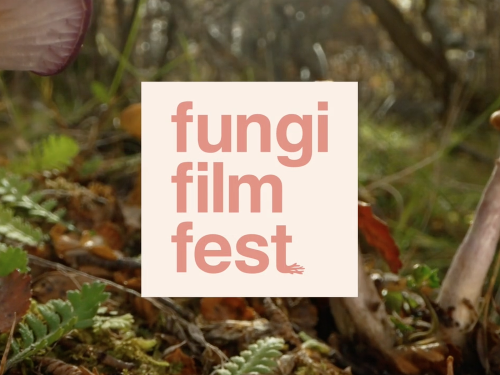 Fungi Film Fest 2024