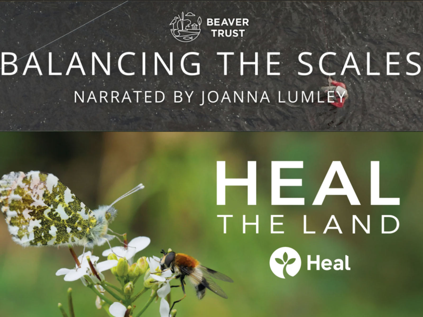 Heal the Land + Balancing the Scales