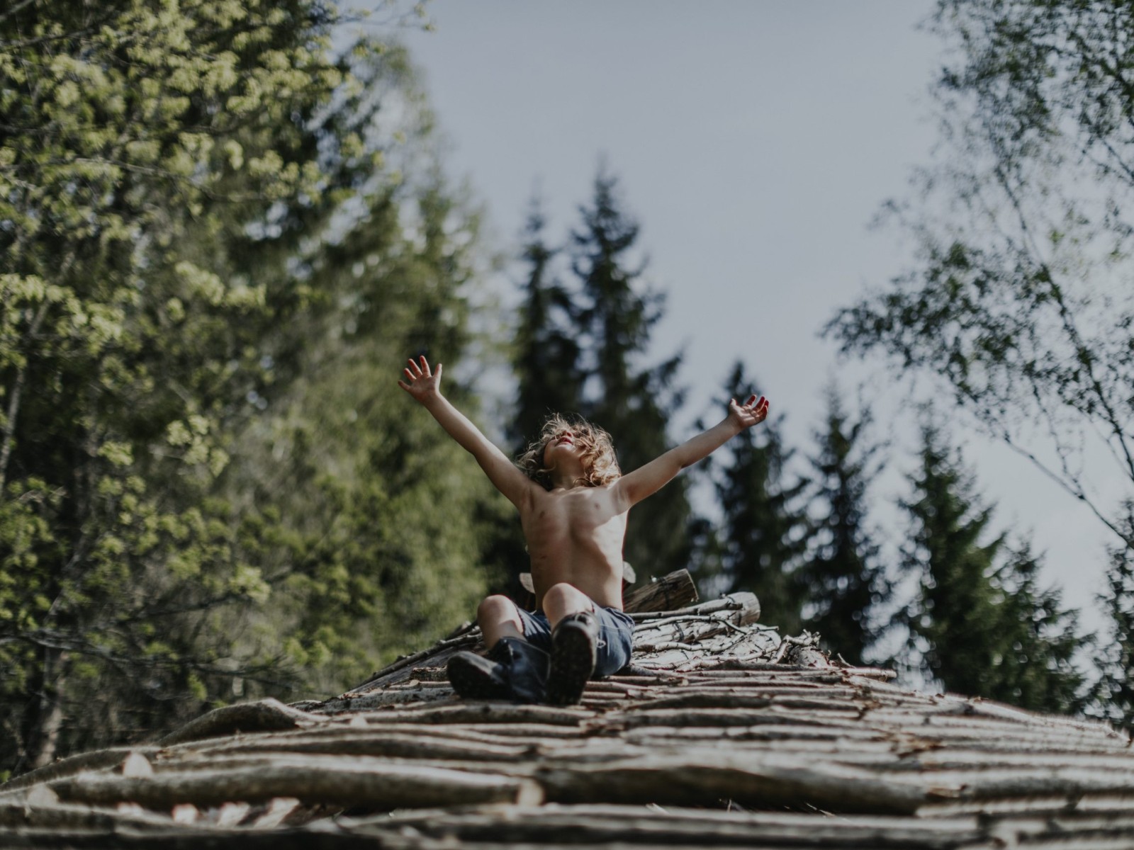 A New Kind of Wilderness