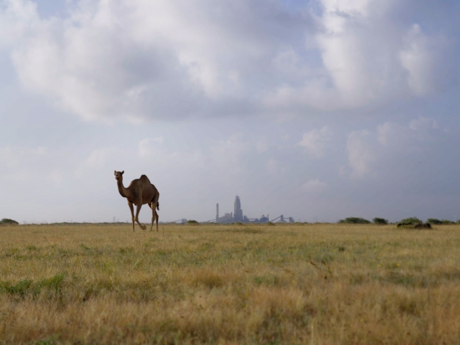 Under the Open Sky + Q&A