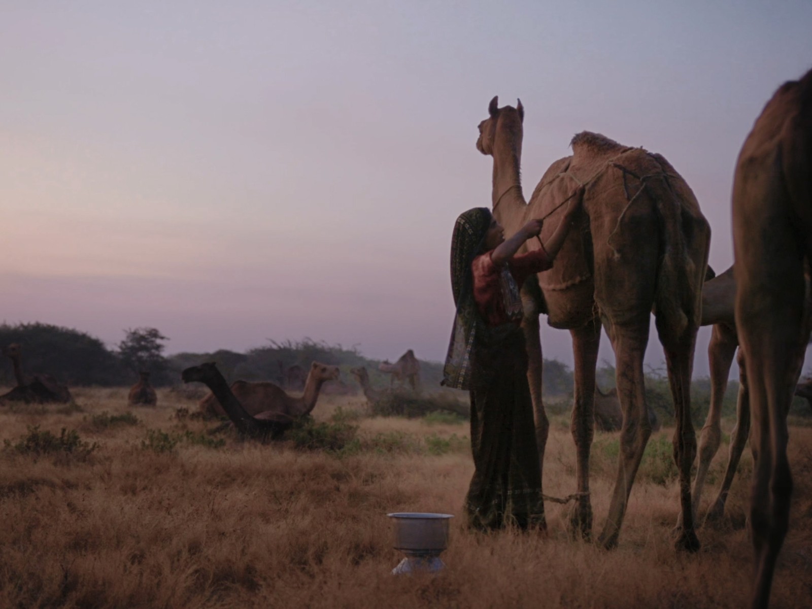 Under the Open Sky + Q&A