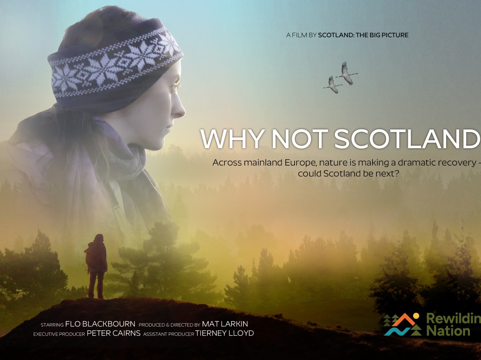 Why Not Scotland?