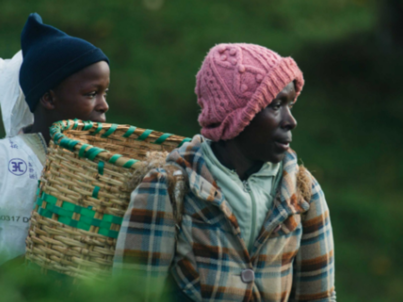 Kikuyu Land