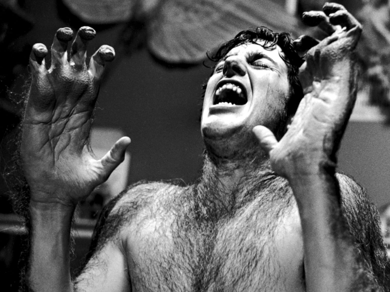 An American Werewolf in London