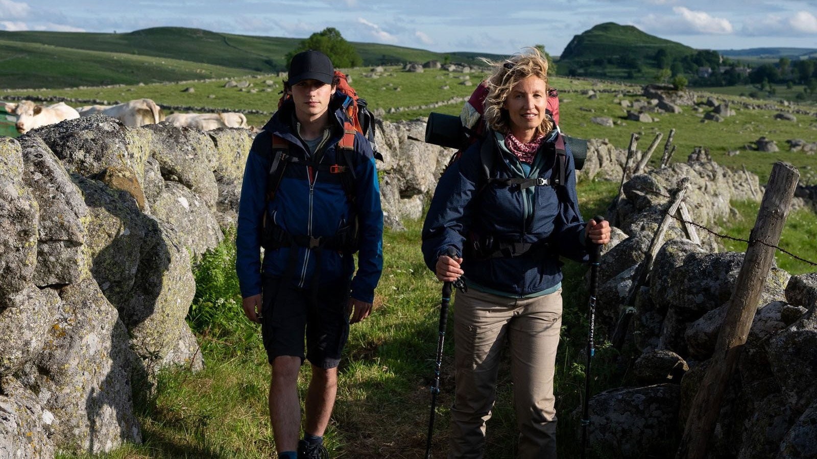 Santiago: The Camino Therapy