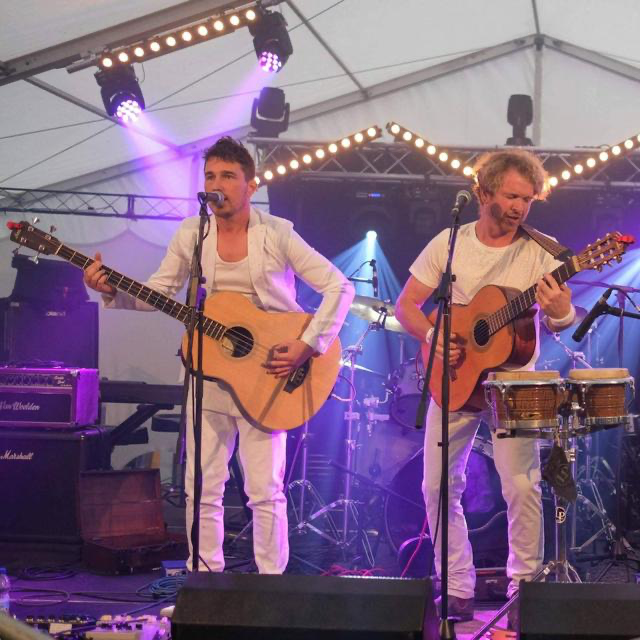 Friday Night Is Music Night - The Adventures of Bert & Henry