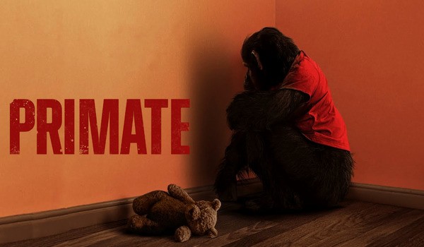 Primate