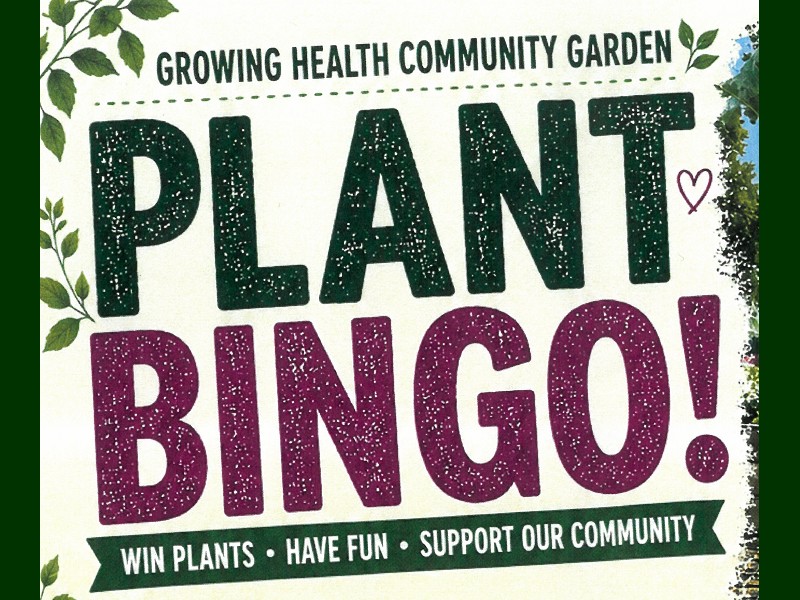 Plant Bingo!