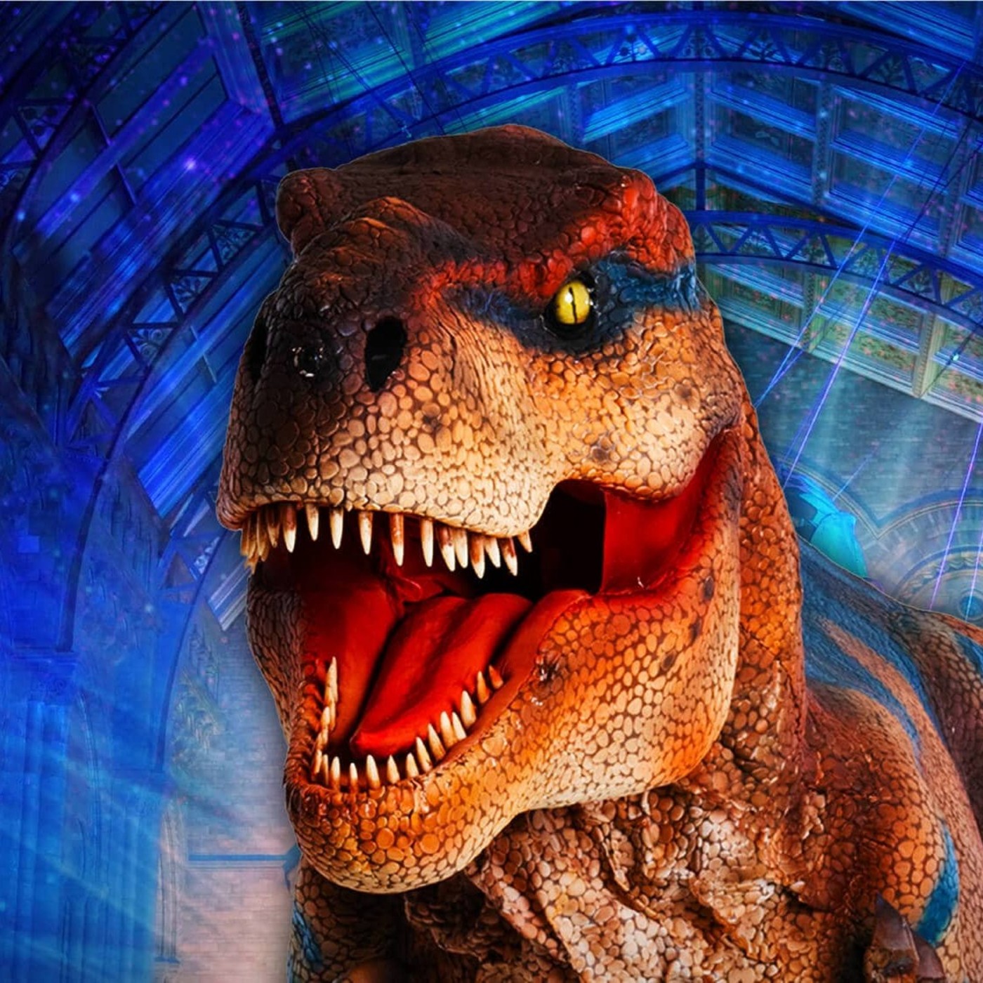 Teach Rex Live