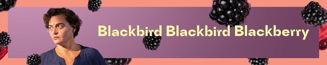 Blackbird Blackbird Blackberry (TBC) Friday 3rd May