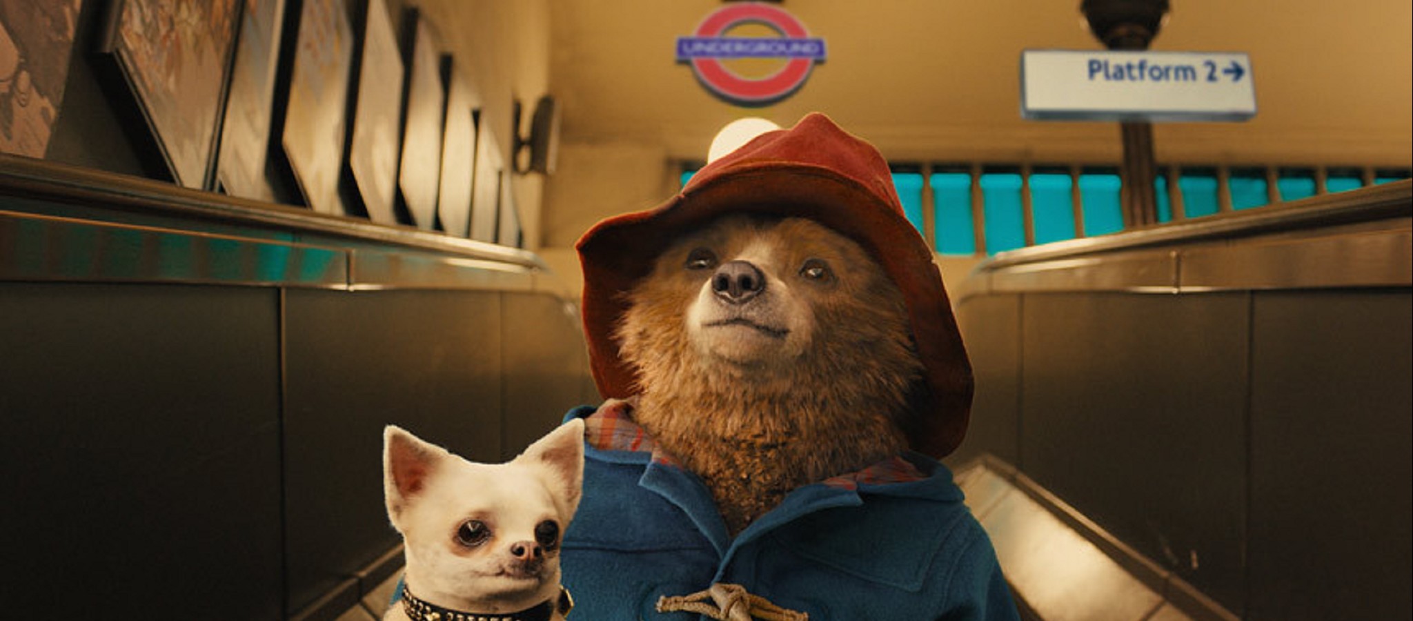 Paddington Day: Paddington