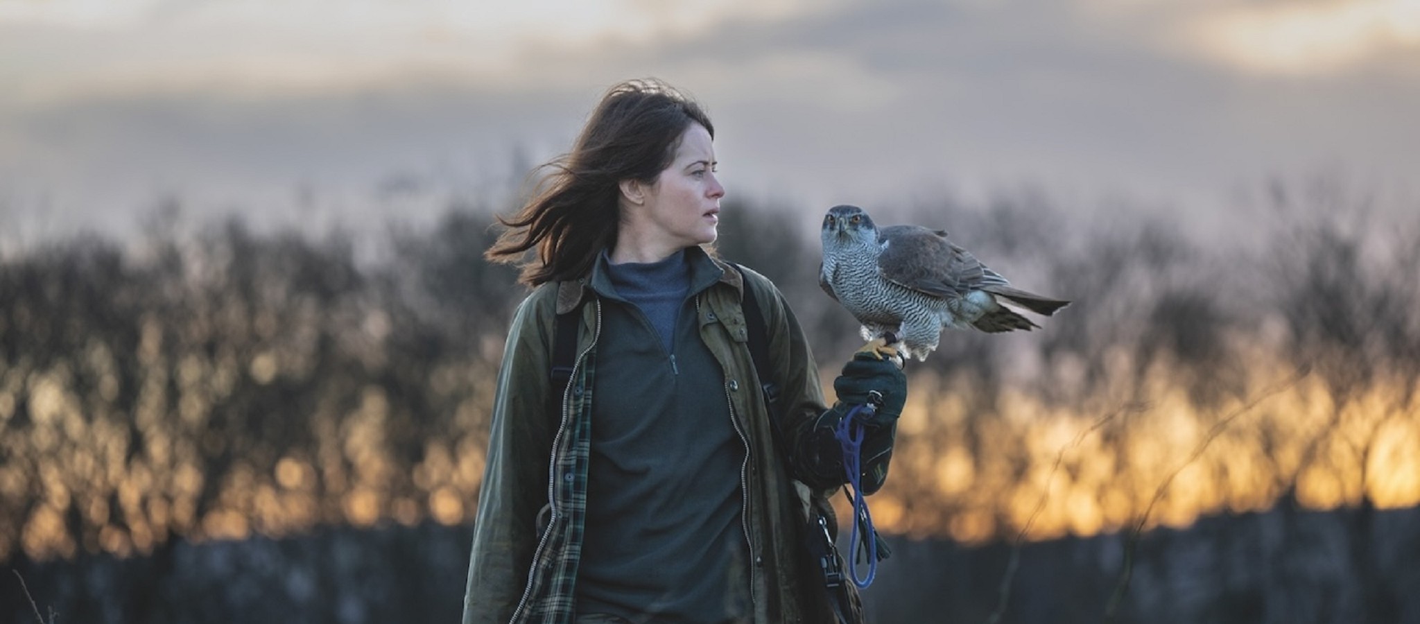 PREVIEW: H is for Hawk