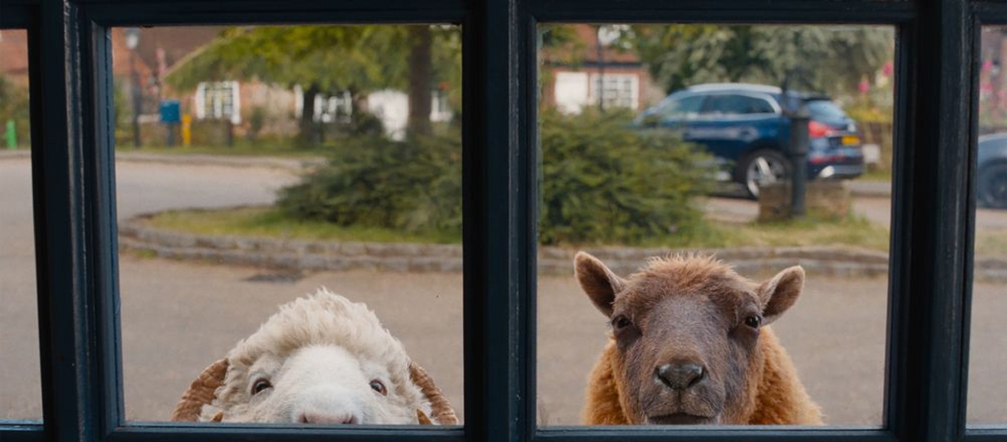 The Sheep Detectives