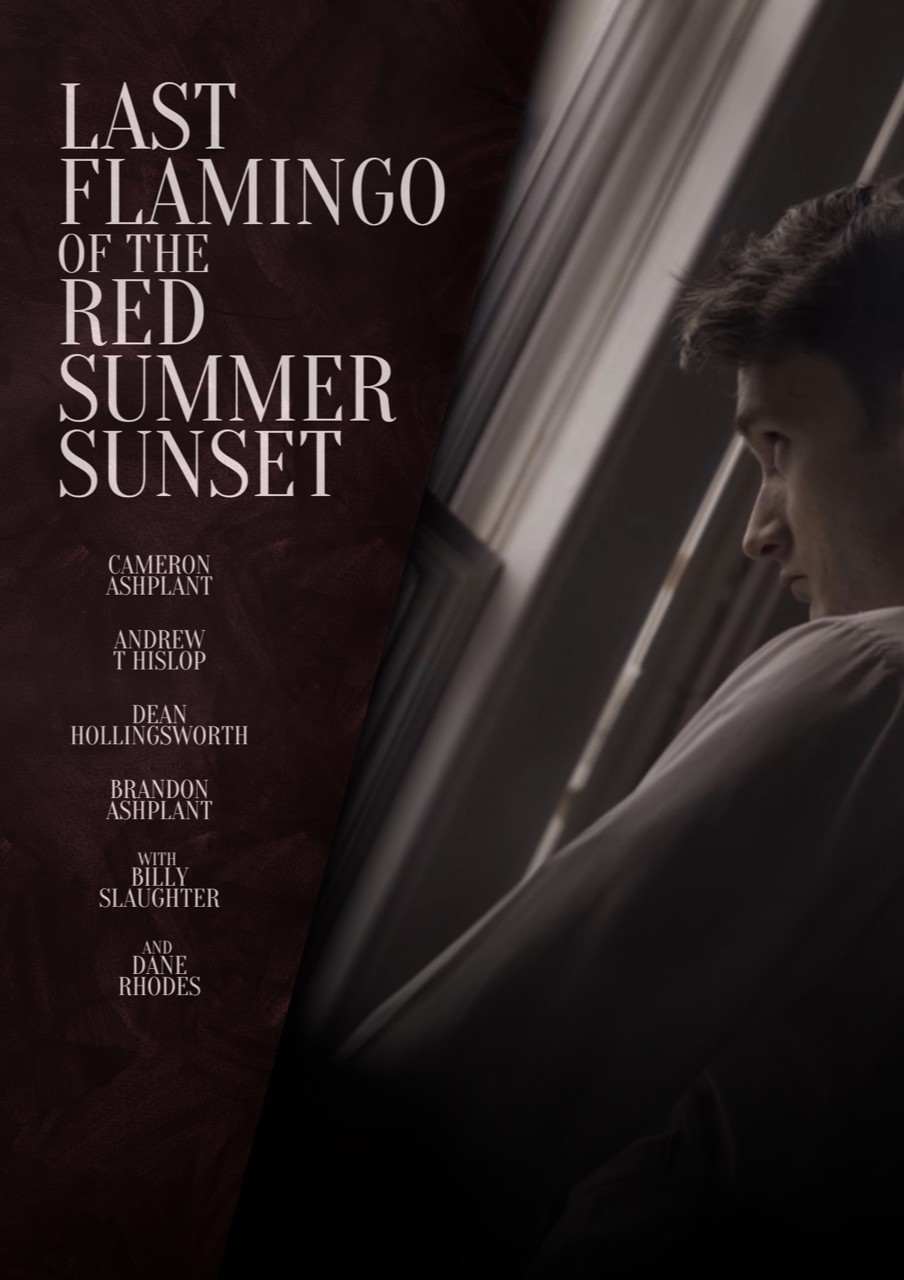 LAST FLAMINGO OF THE RED SUMMER SUNSET (Premiere)