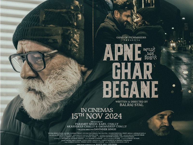 Apne Ghar Begane (Punjabi)