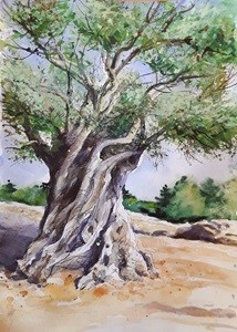 Joy Of Watercolour - Trees & Texture