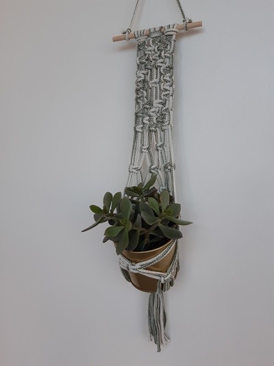 Macrame Plant Hanger Workshop