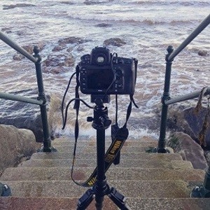 Beginners Photrography Mar 2026