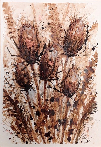 Get Re/Started! Draw & Paint Autumn Seeds & Pods