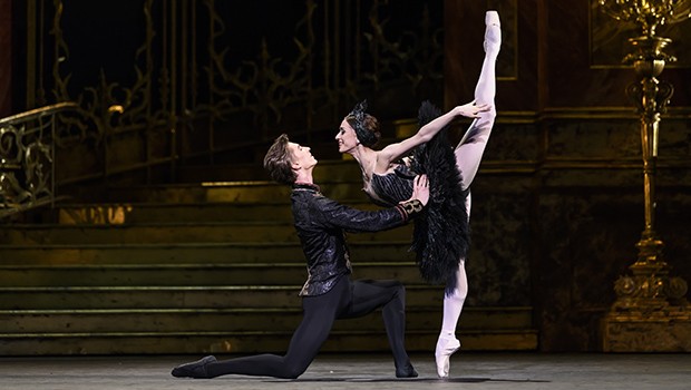ROH Live: Swan Lake