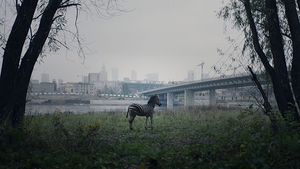 UKJFF: Of Animals and Men + Short