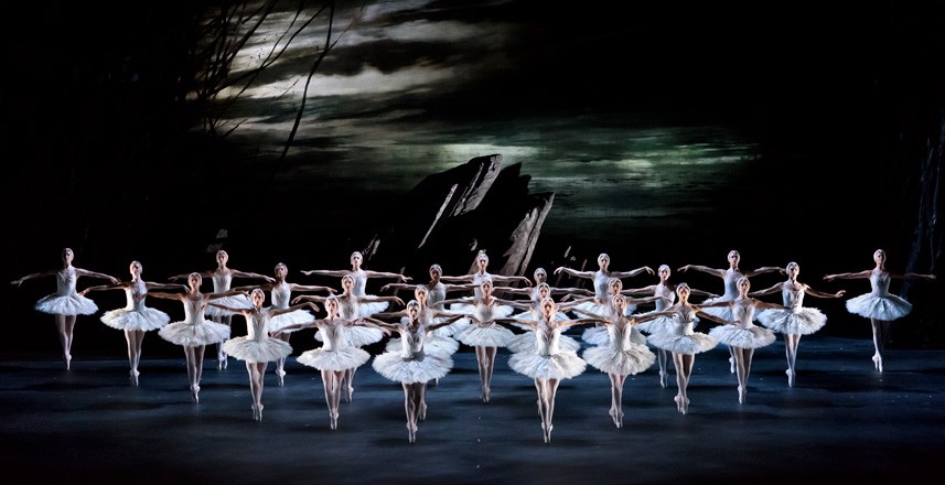 ROH Swan Lake