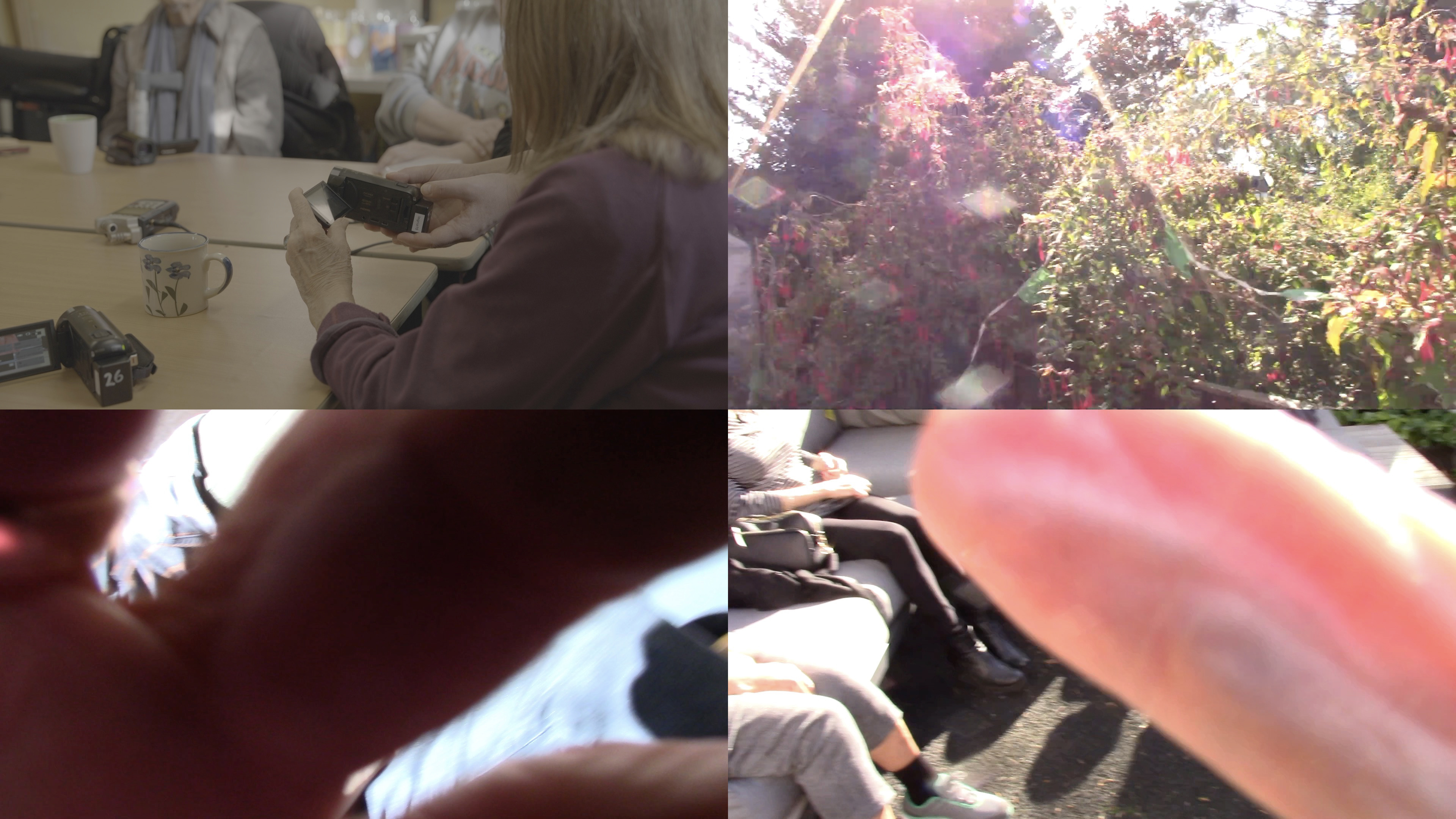 DEMENTIA FILM CLUB (FREE)