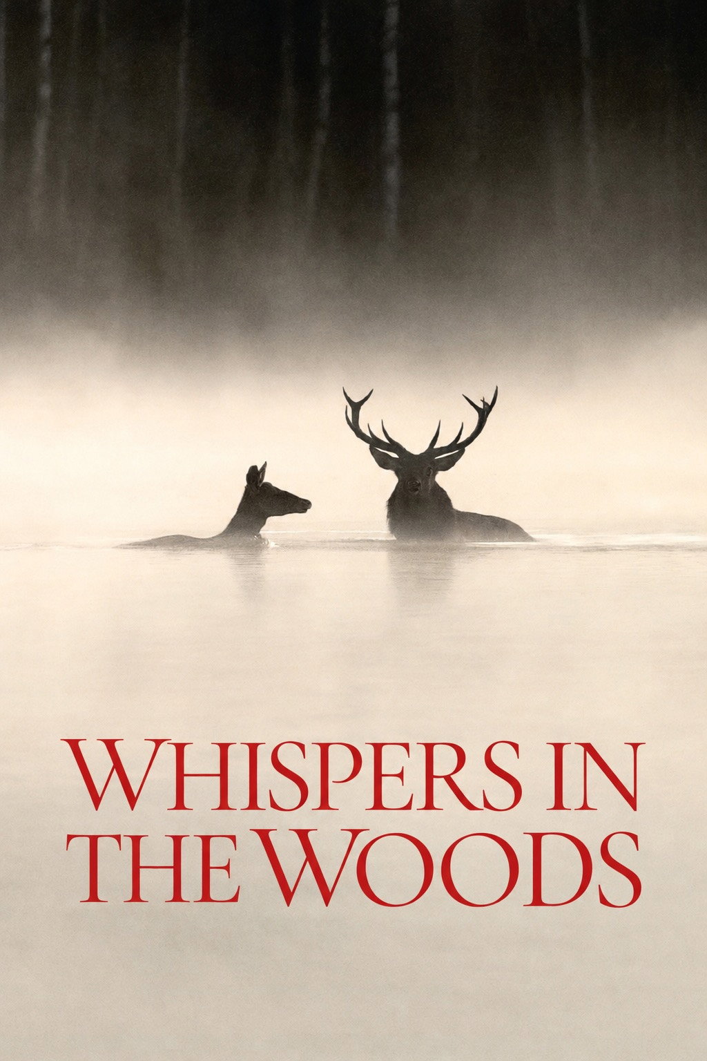 Whispers in the Woods