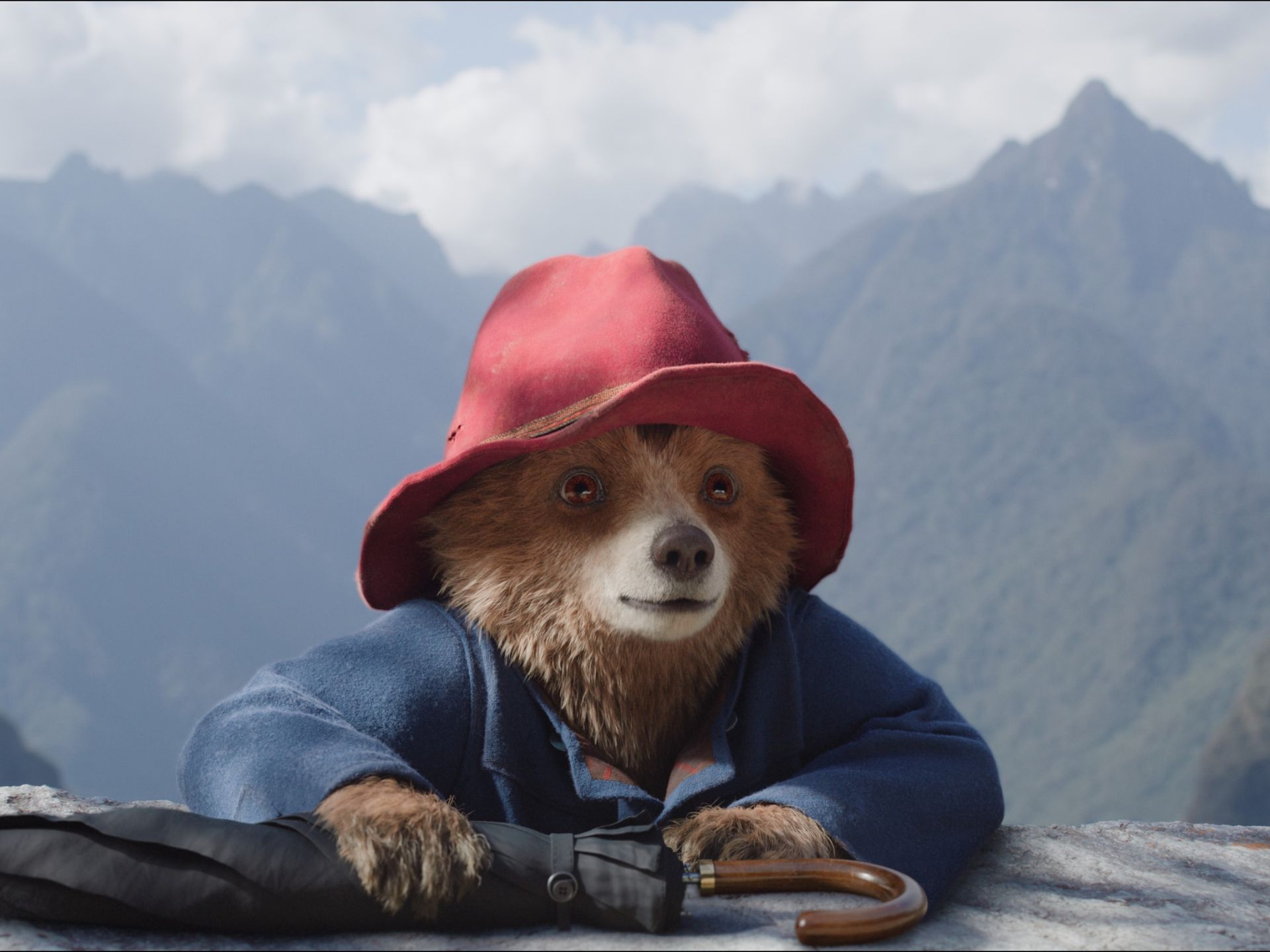 Paddington In Peru