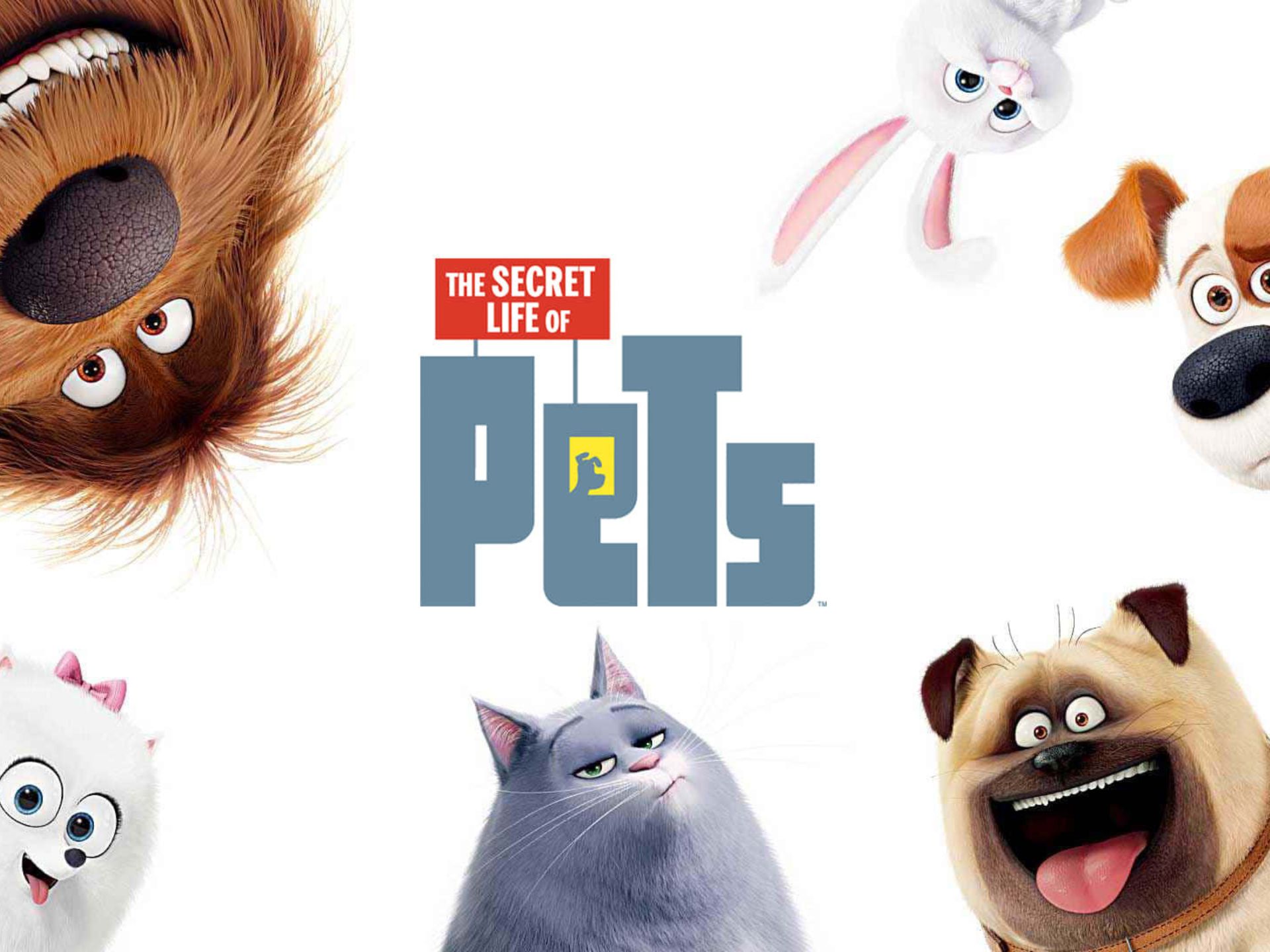 Family Relaxed- The Secret Life Of Pets