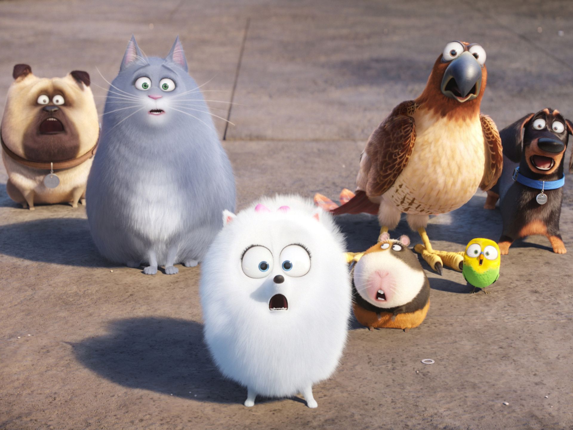 Family Relaxed- The Secret Life Of Pets