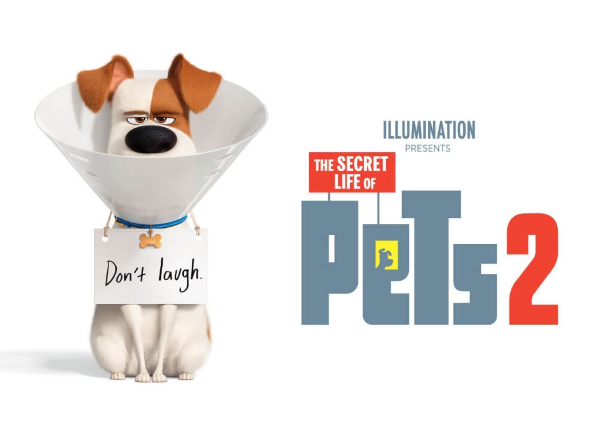 Family Relaxed- The Secret Life Of Pets 2