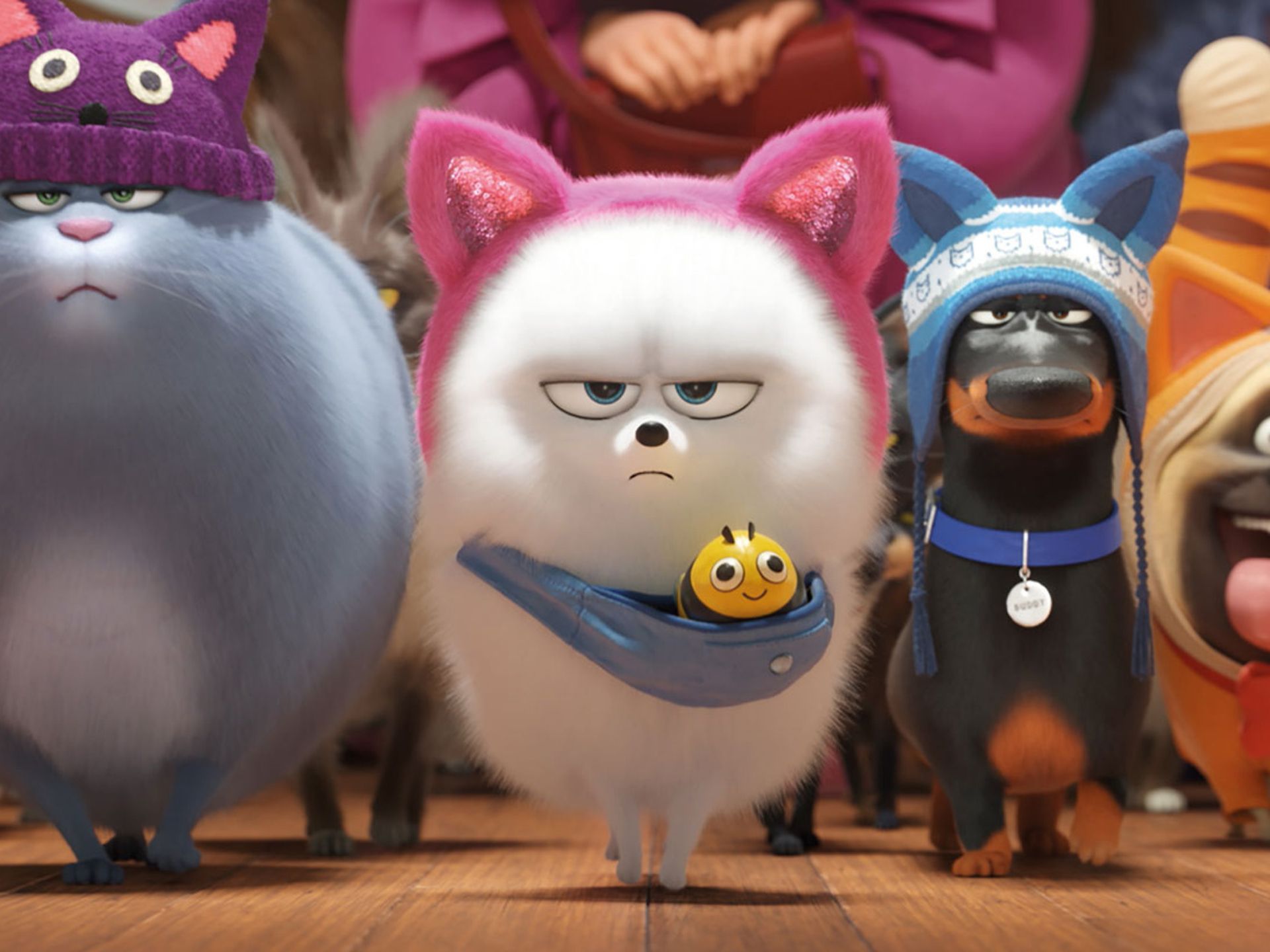 Family Relaxed- The Secret Life Of Pets 2