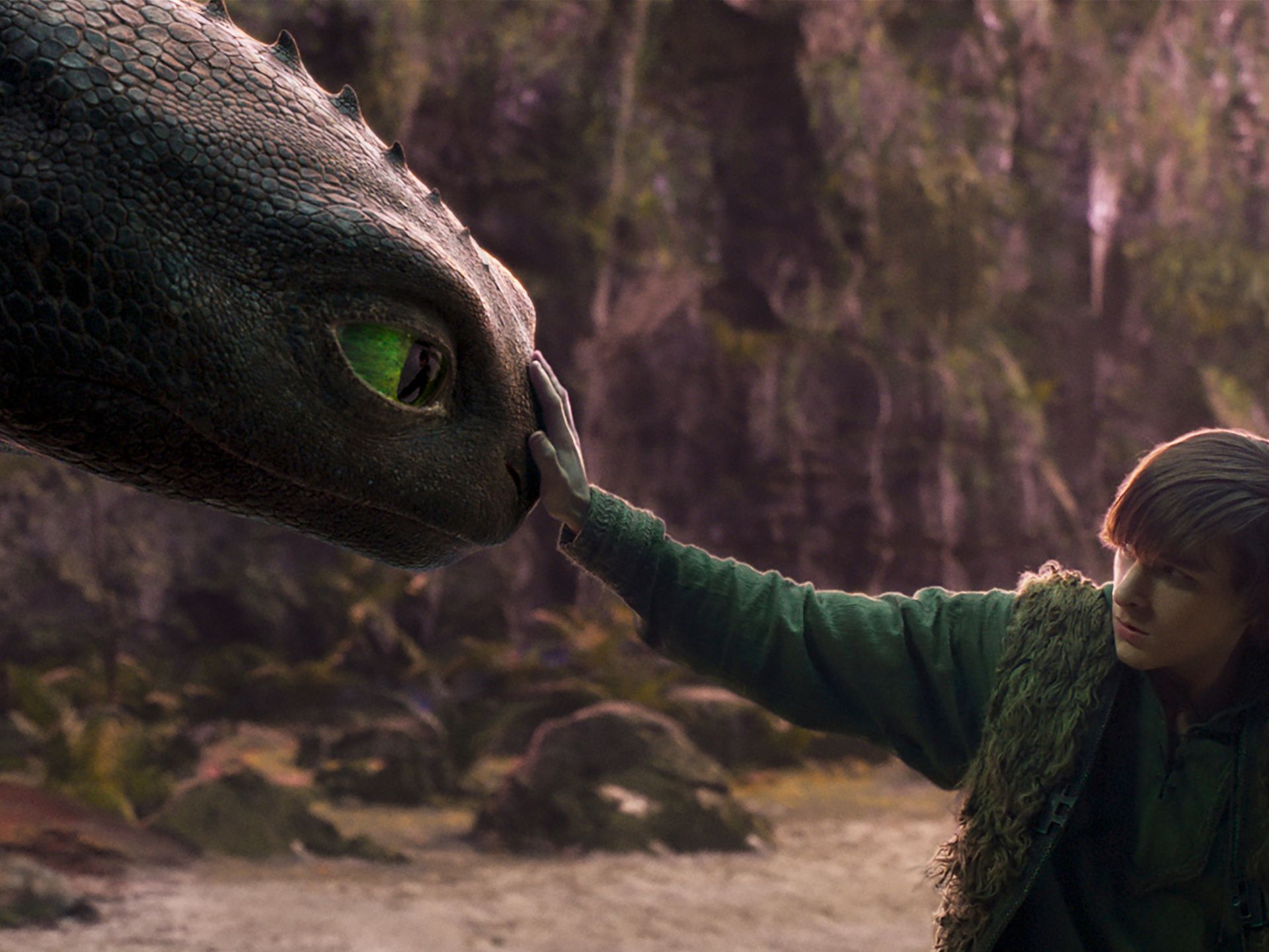 How To Train Your Dragon
