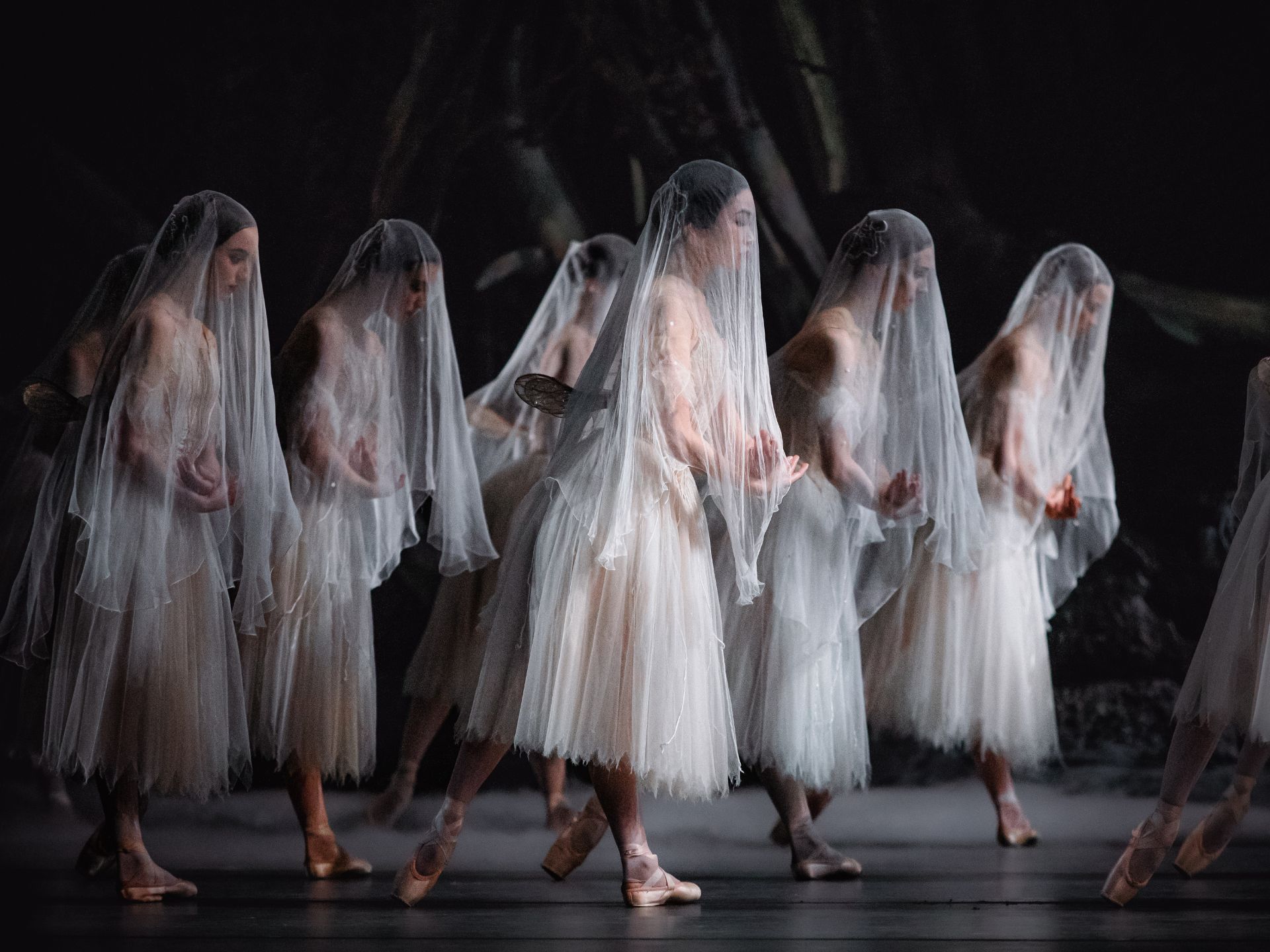 Royal Ballet & Opera- Giselle