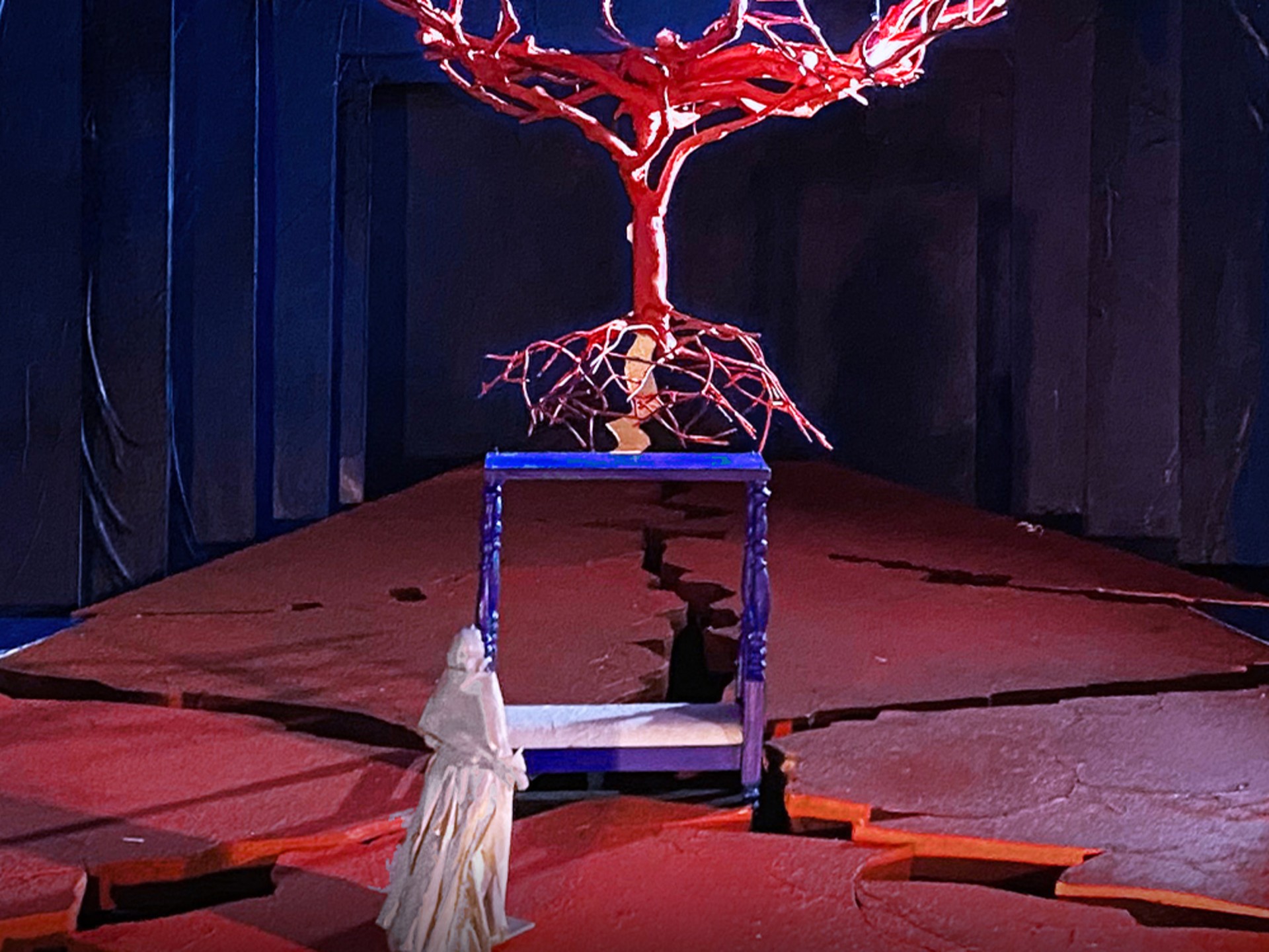 The Metropolitan Opera- El Último Sueño de Frida y Diego