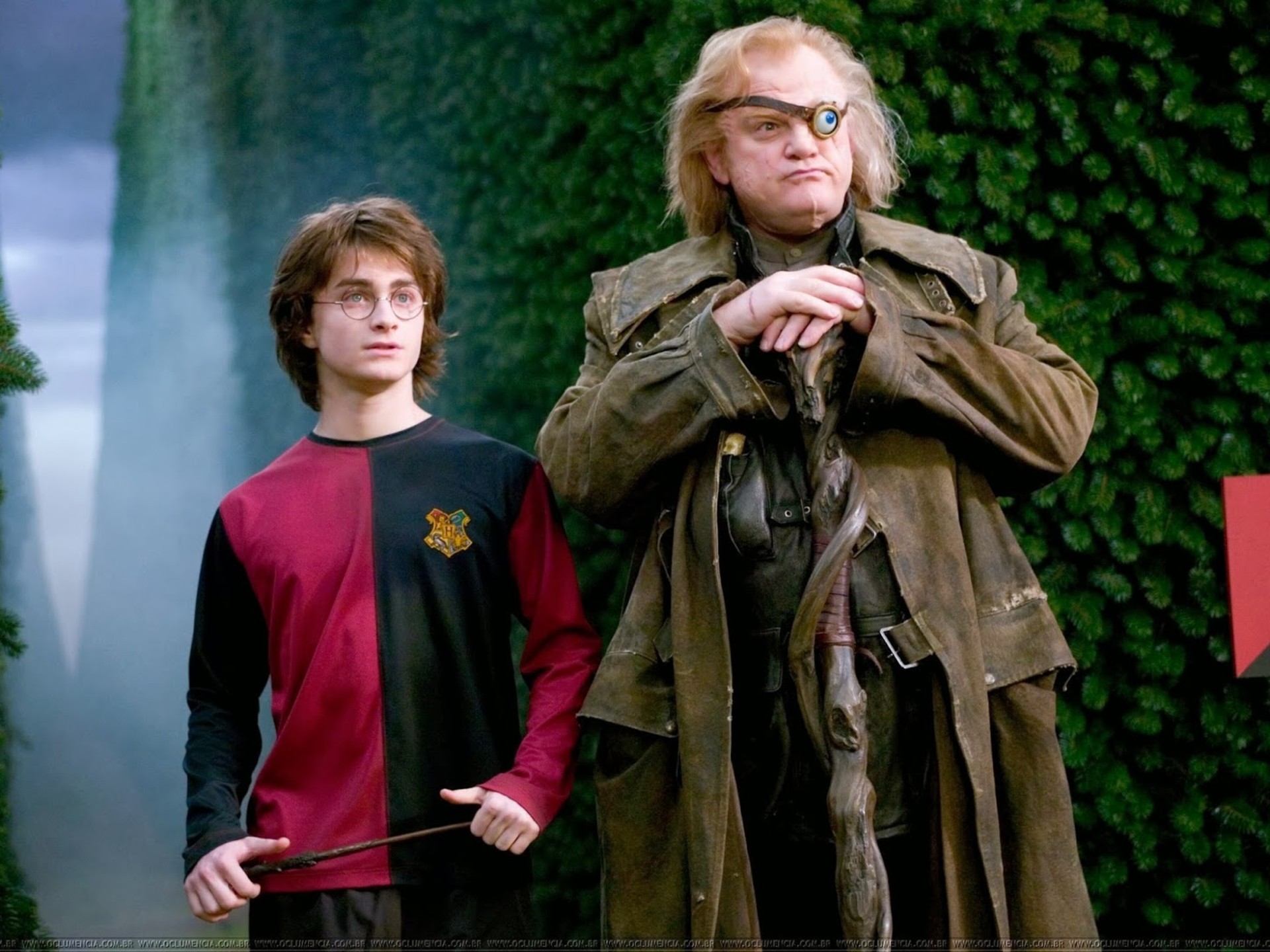 Harry Potter and the Goblet of Fire 20th Anniversary