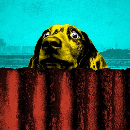 The Border