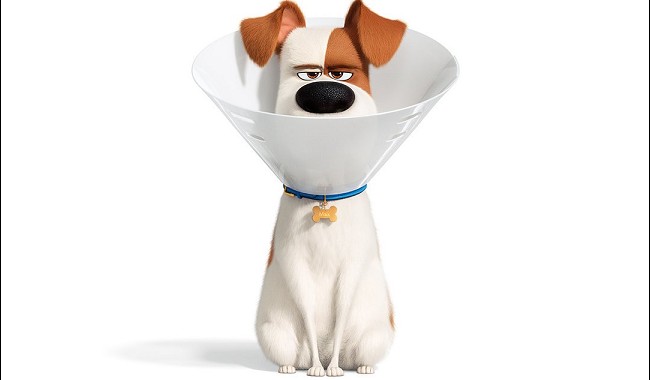 THE SECRET LIFE OF PETS 2