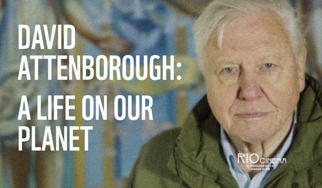 DAVID ATTENBOROUGH: A LIFE ON OUR PLANET + Q&A