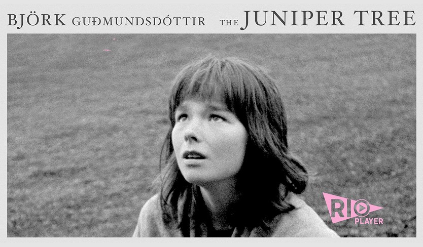 The Juniper Tree (RIO PLAYER)