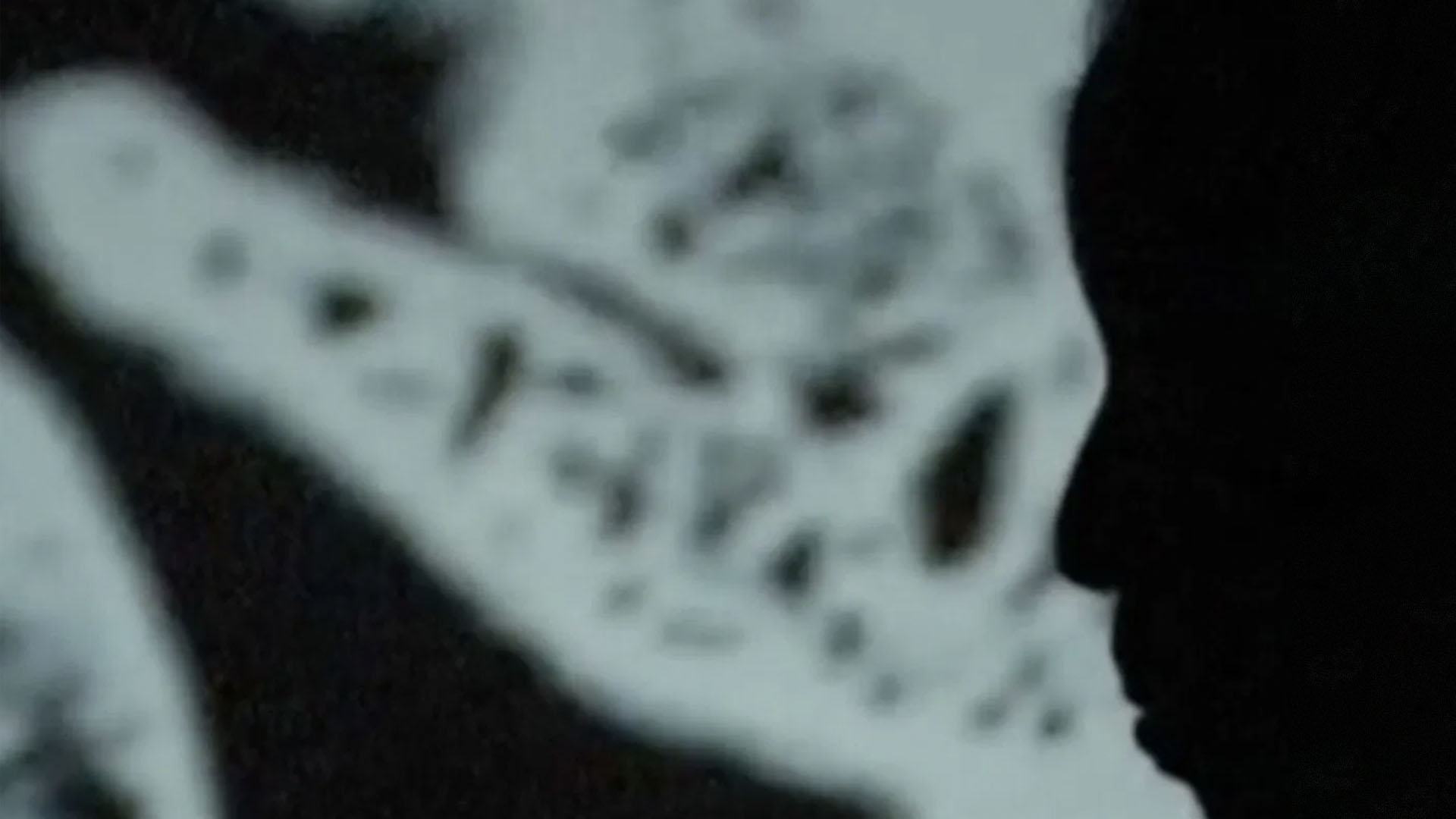 Fitting Room & Nothing Belongs To Me Alone + Q&A