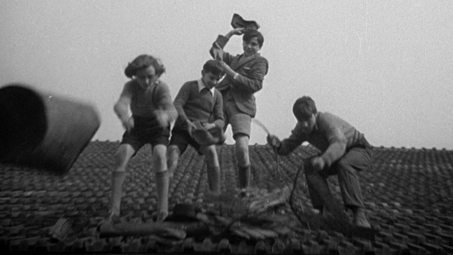 TV PARTY, TONIGHT!: Anarchism and Misrule in Cinema