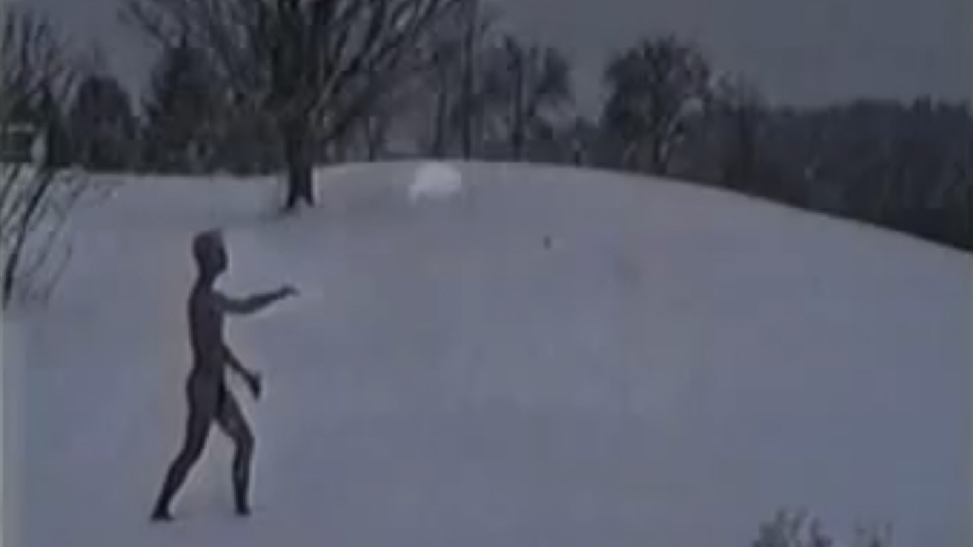 CATEGORY H: LATE NIGHT SOV SPECIAL