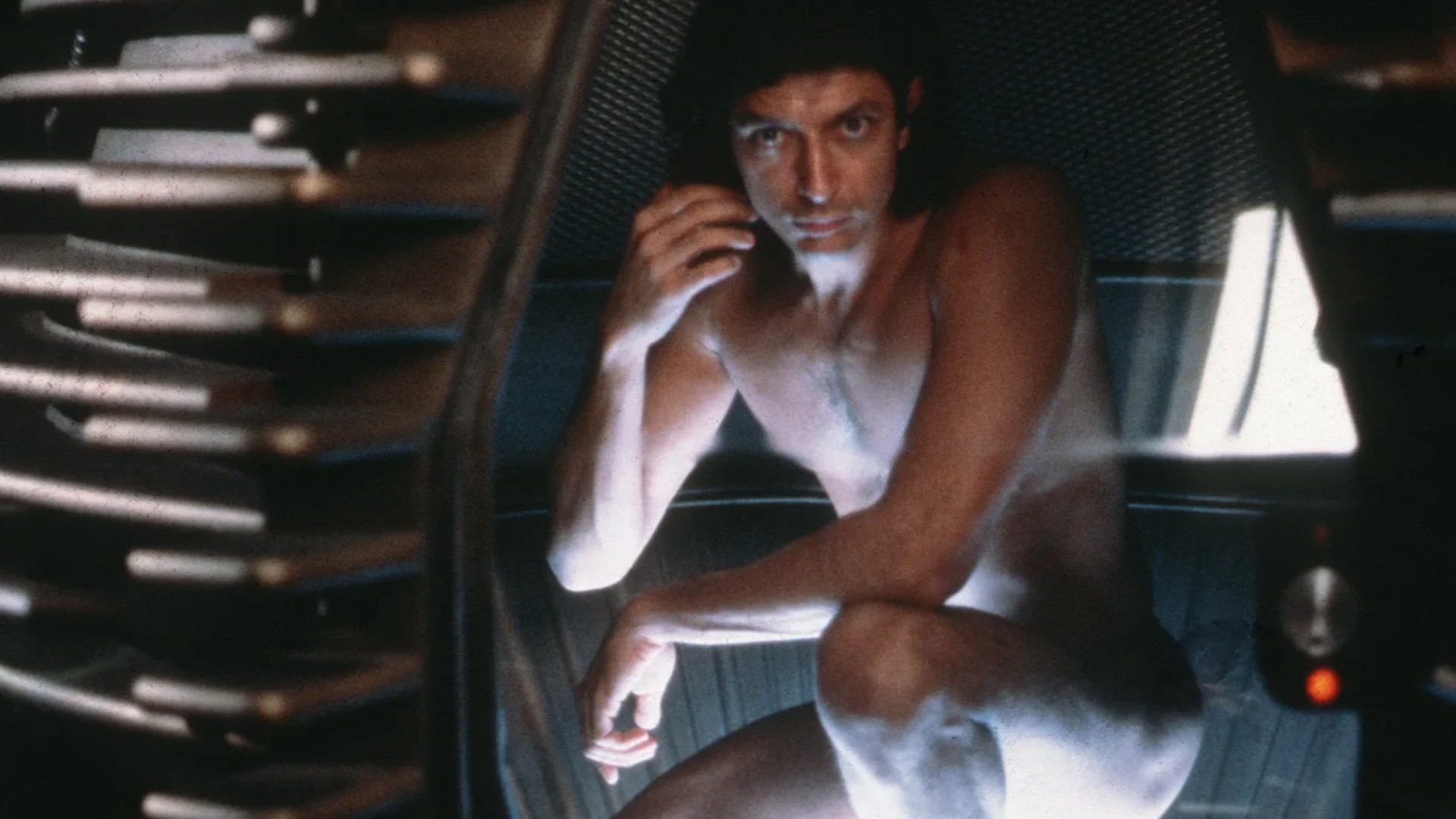 The Fly