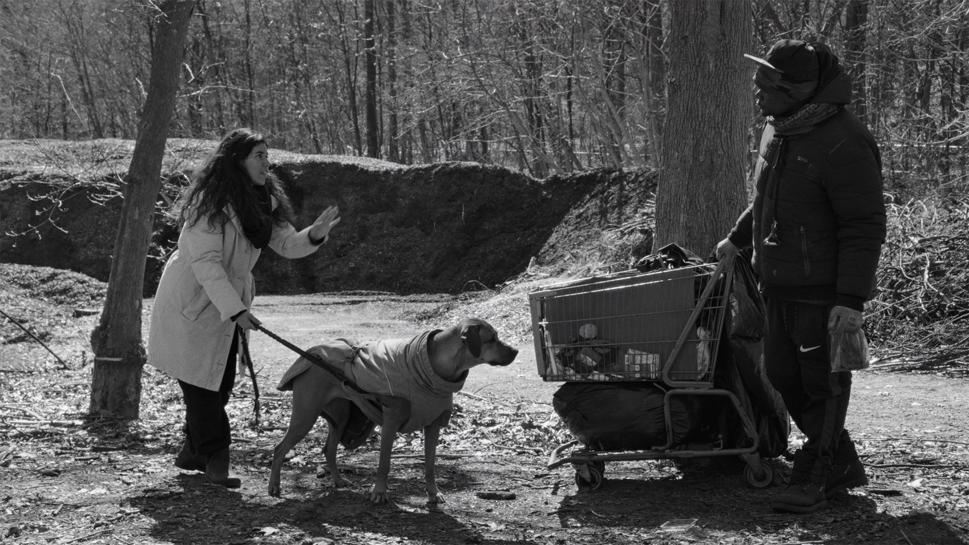 Cannes Dogs 2 Zine Launch: THE WOMAN WHO COULD READ THE MINDS OF DOGS