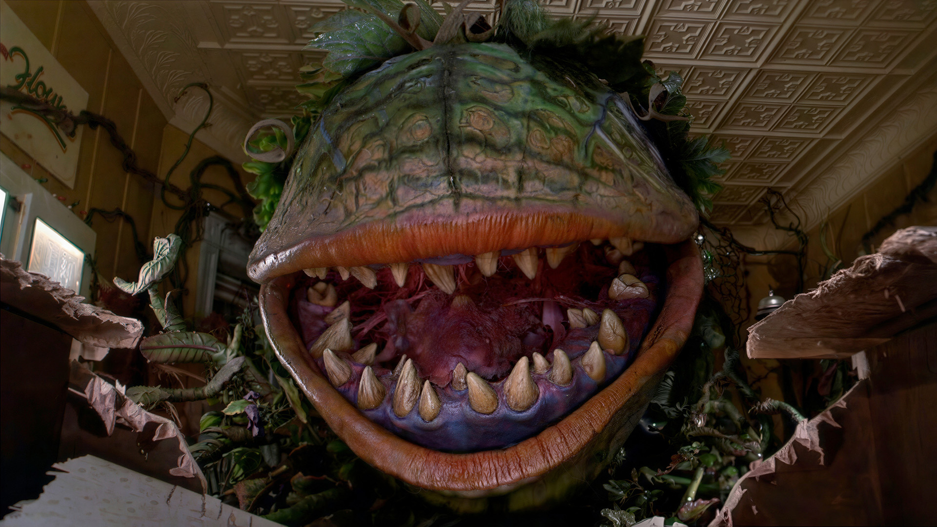 RIO FOREVER X QUEER HORROR NIGHTS: LITTLE SHOP OF HORRORS (DIRECTOR’S CUT)